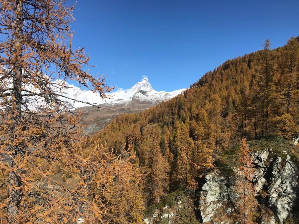 Appartamento Cervinia Fronte Funivie Breuil-Cervinia Exterior foto
